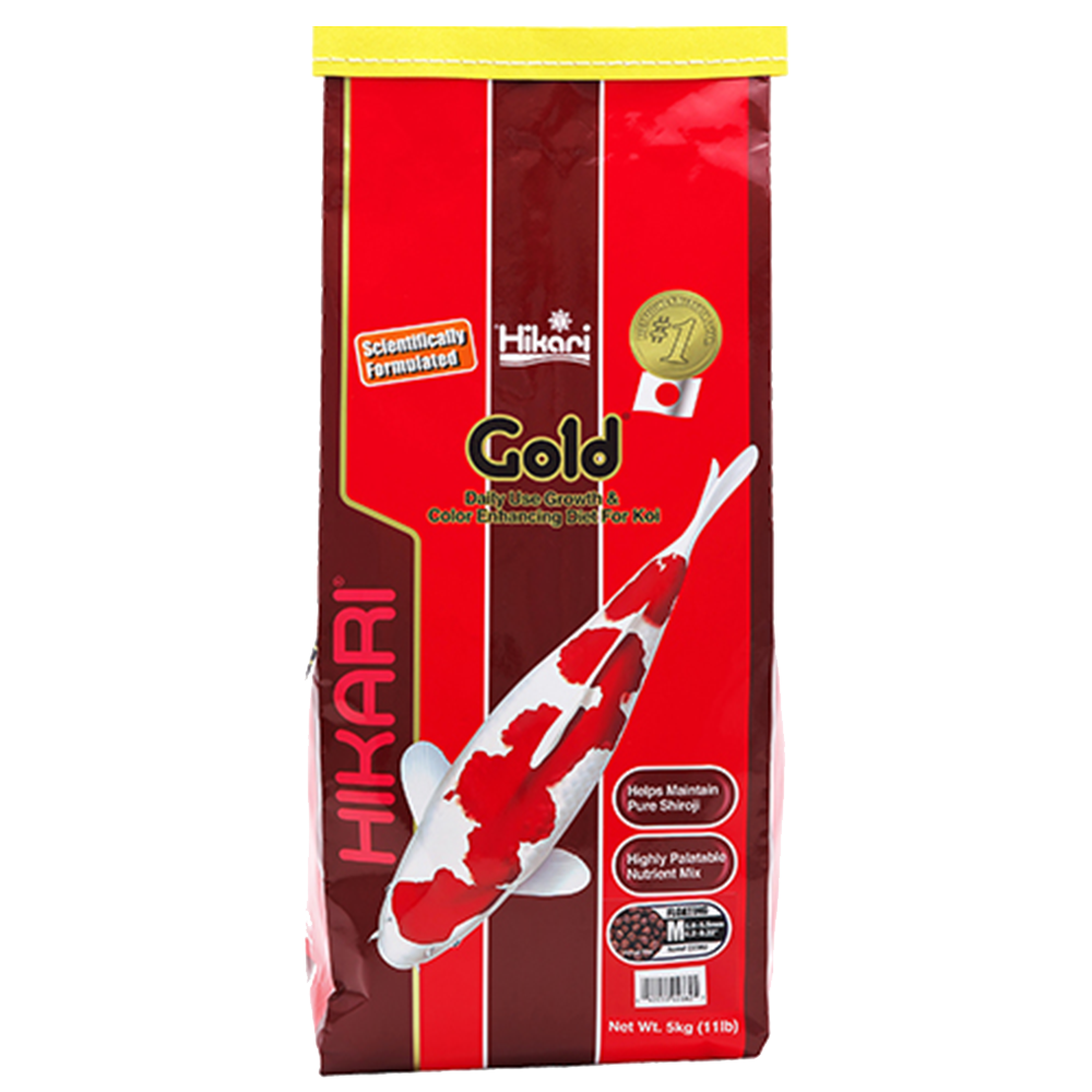 Gua Musang Hikari-Gold-Medium-Large-5kg